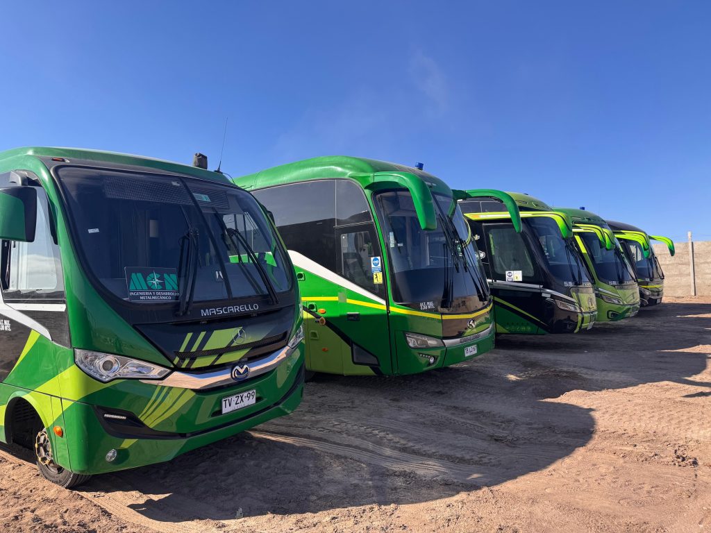 imagen de whatsapp 2025 11 18 a las 12.22.26 d79b018c